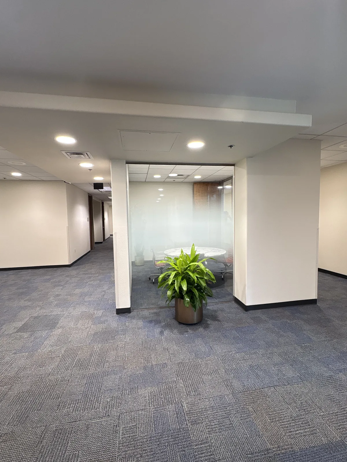 Open office area with transparent glass partitions before decorative film installation